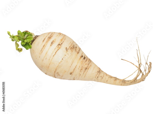 Fresh turnip with leaves isolated on white photo