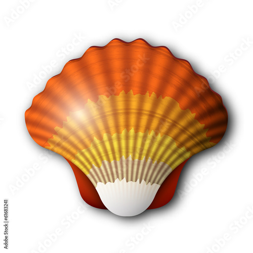 Seashell