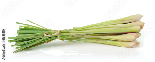 Photography lemongrass isoleted on white background