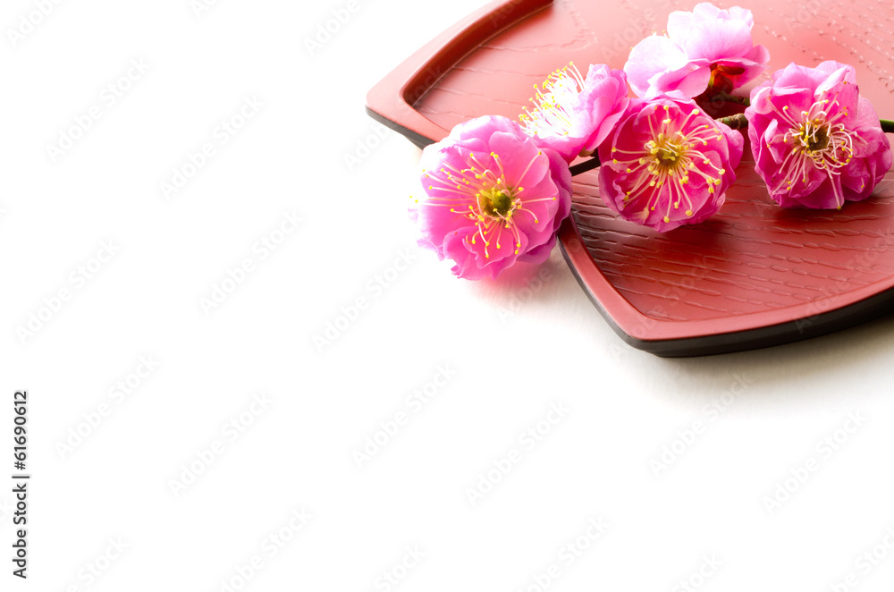 春の盆 春の盆