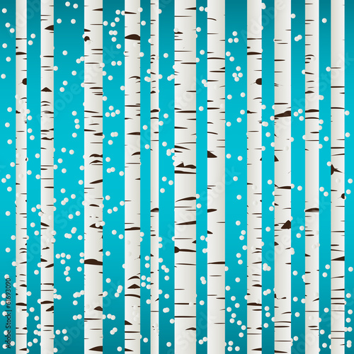 Birch forest and snow pattern