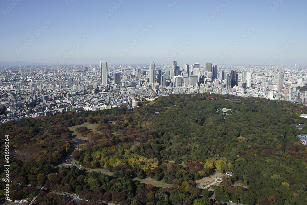 Aerial view of Meiji-jingu areas