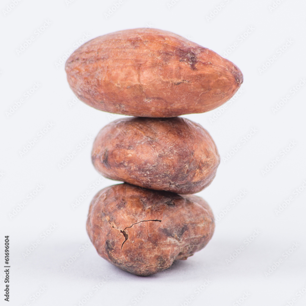 Chocolate cocoa beans isolated on white background Chocolate cocoa beans isolated on white background