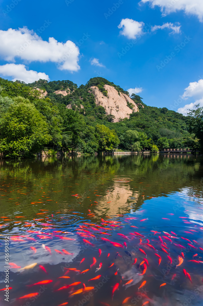 Fototapeta premium Mountain ponds
