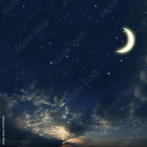 Beautiful night sky with a lot of stars