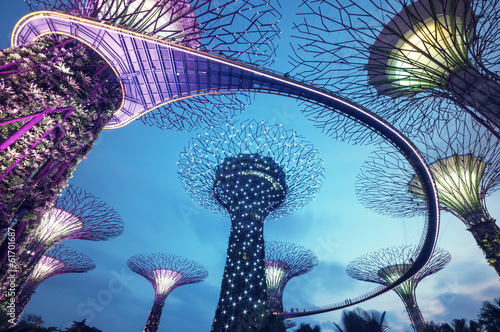 Canvas Print Supertree Grove in the Graden by the Bay in Singapore