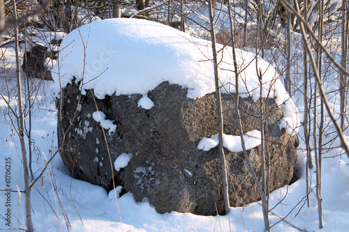 Boulder in the snow.