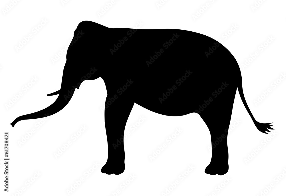 elephant set silhouette