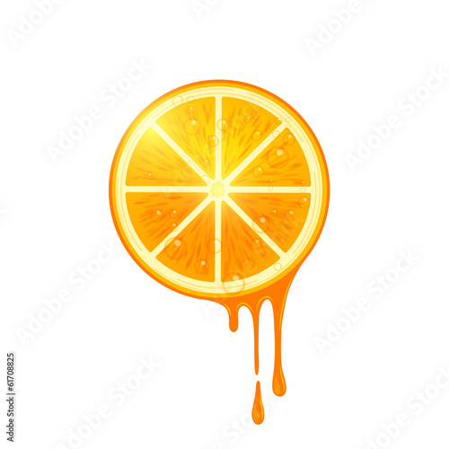 Juicy Vector Orange Slice