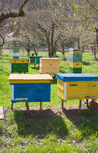 different kinds of beehives situated in the garden © vladis_studio
