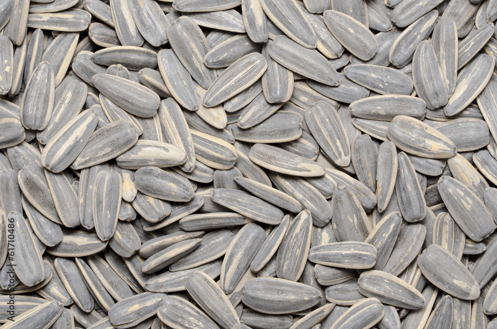 Striped sunflower seeds