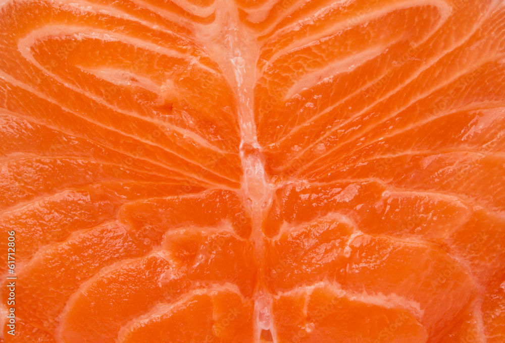 raw salmon steak raw salmon steak