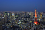 Evening View of Roppongi area and Tokyo Tower