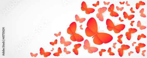 Vector butterfly header
