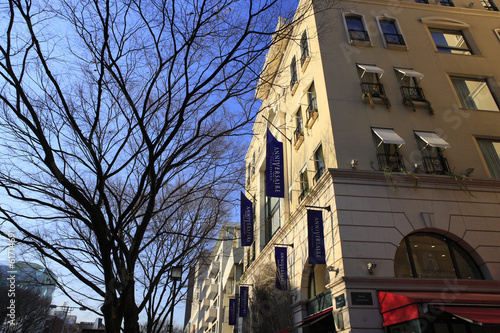 CAFE along Omotesando Street photo