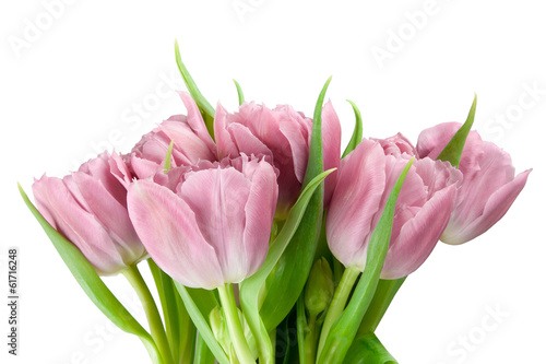 Fototapeta Naklejka Na Ścianę i Meble -  bouquet of pink tulips isolated on white background