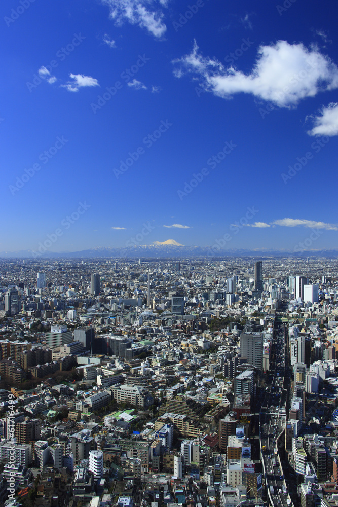 Cityscape of Shinjuku and Mt. Fuji