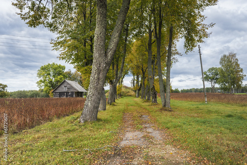 Countryside road in autumn, Vidzeme, Latvia