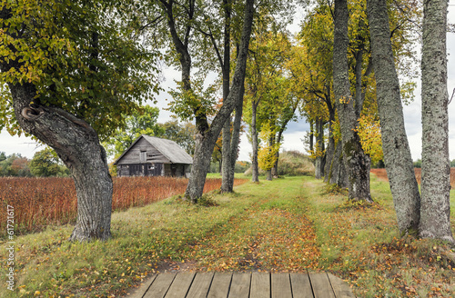 Countryside road in autumn, Vidzeme, Latvia