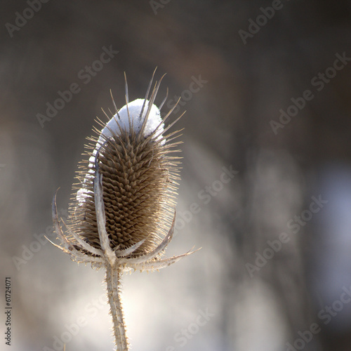 Skewered
