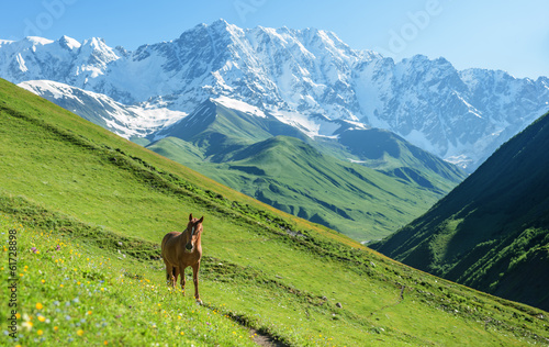 Fototapeta Naklejka Na Ścianę i Meble -  mountain