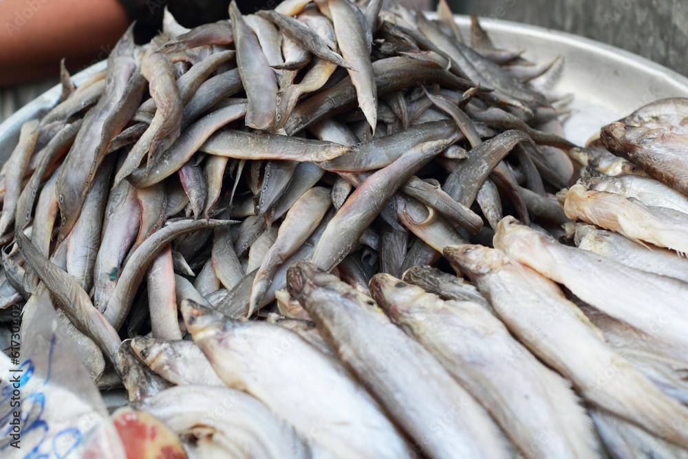 Fresh fish in the market. Fresh fish in the market.