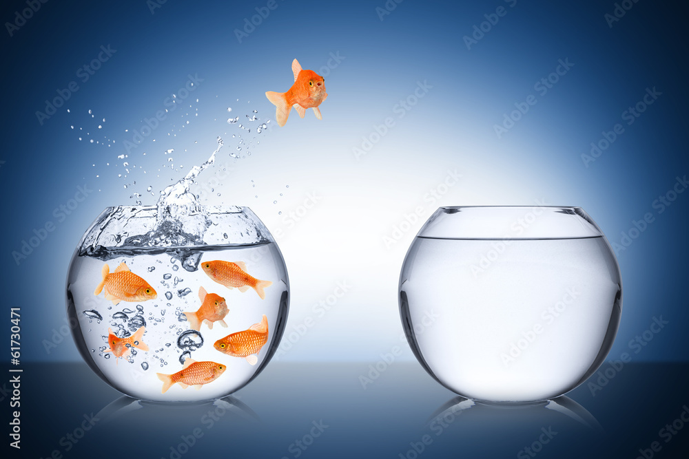 Obraz premium fish courage concept