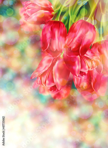 Bokeh Background with Tulips