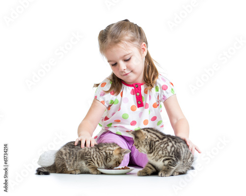 kid girl feeding cats kittens