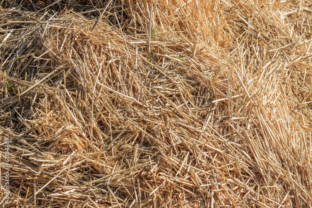 Background from hay Background from hay