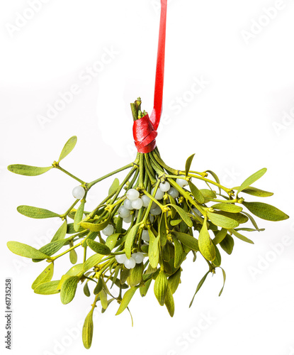 Canvas Print mistletoe isolated on a white background