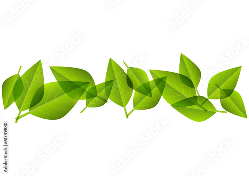 Green leaves border for Your design