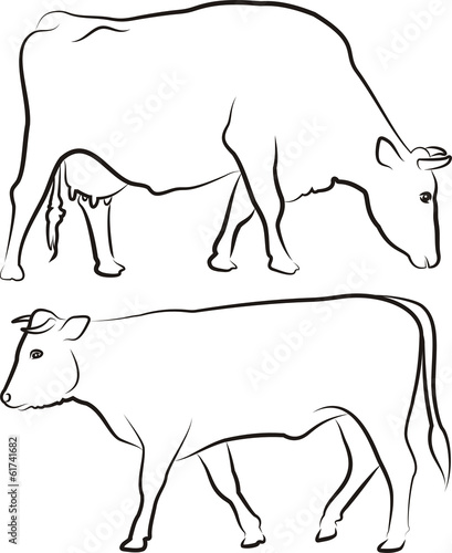 cow and bull - outlines