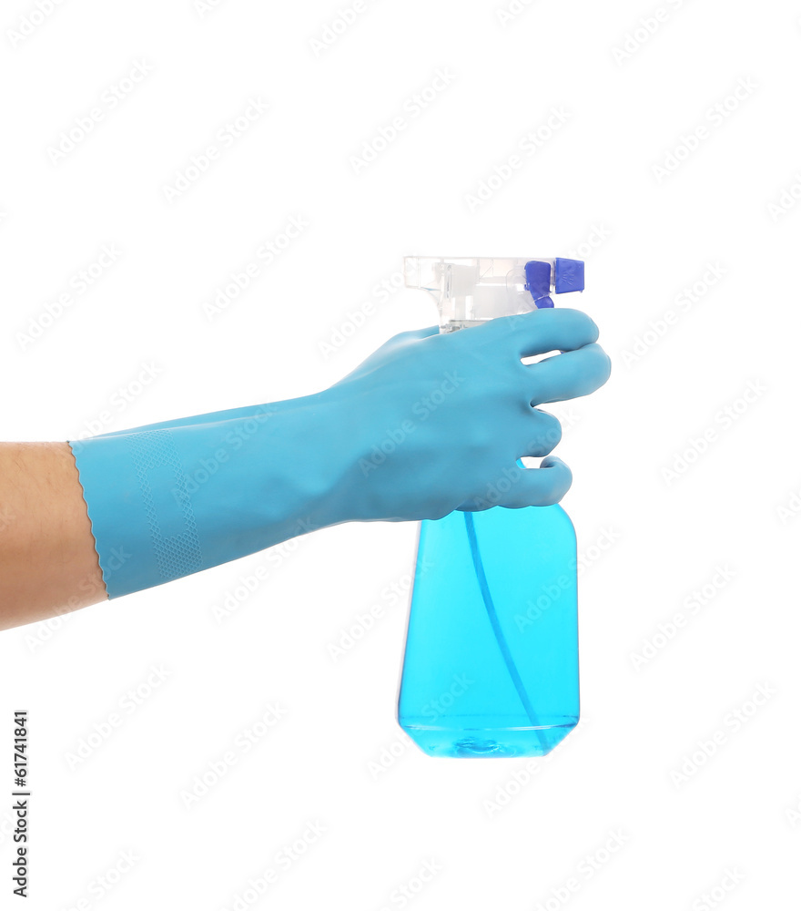 Hand in gloves holds spray bottle. Hand in gloves holds spray bottle.