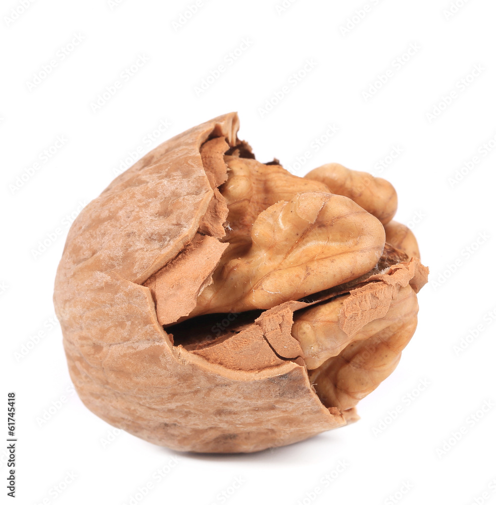 Close up of walnut. Close up of walnut.