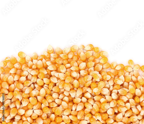 Closeup of corn grains.