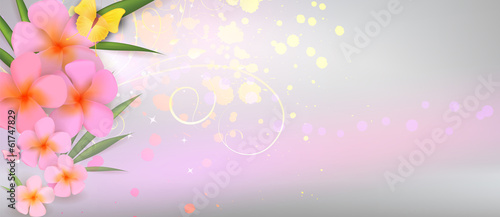Pink plumerias on abstract shiny background