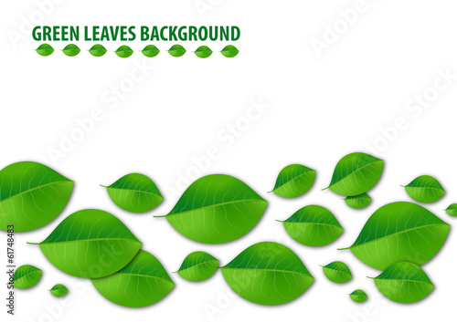 Green Leaves Background