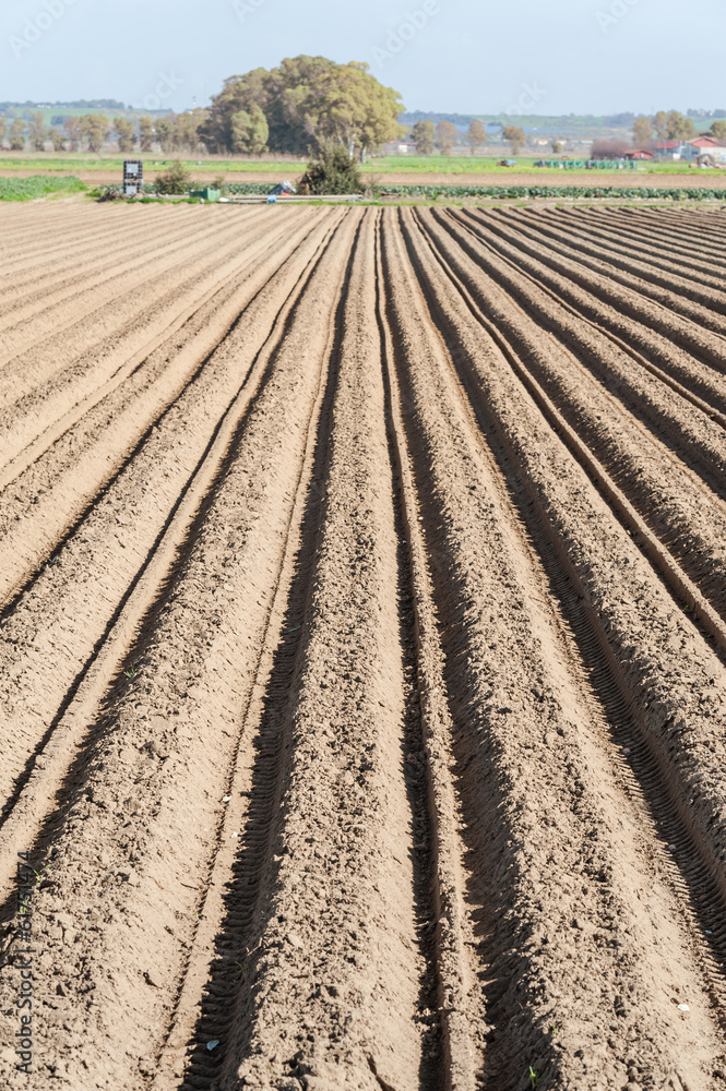 Plowed field Plowed field