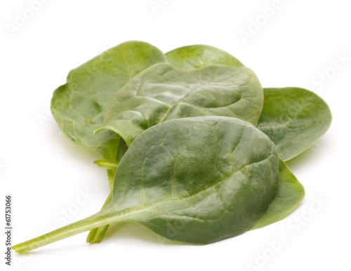 Spinach vegetables cutout