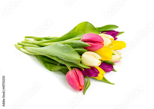Fototapeta Naklejka Na Ścianę i Meble -  colorful tulips on white background