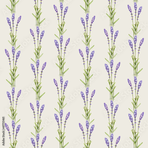 Lavender flower illustrations. Watercolor seamless pattern