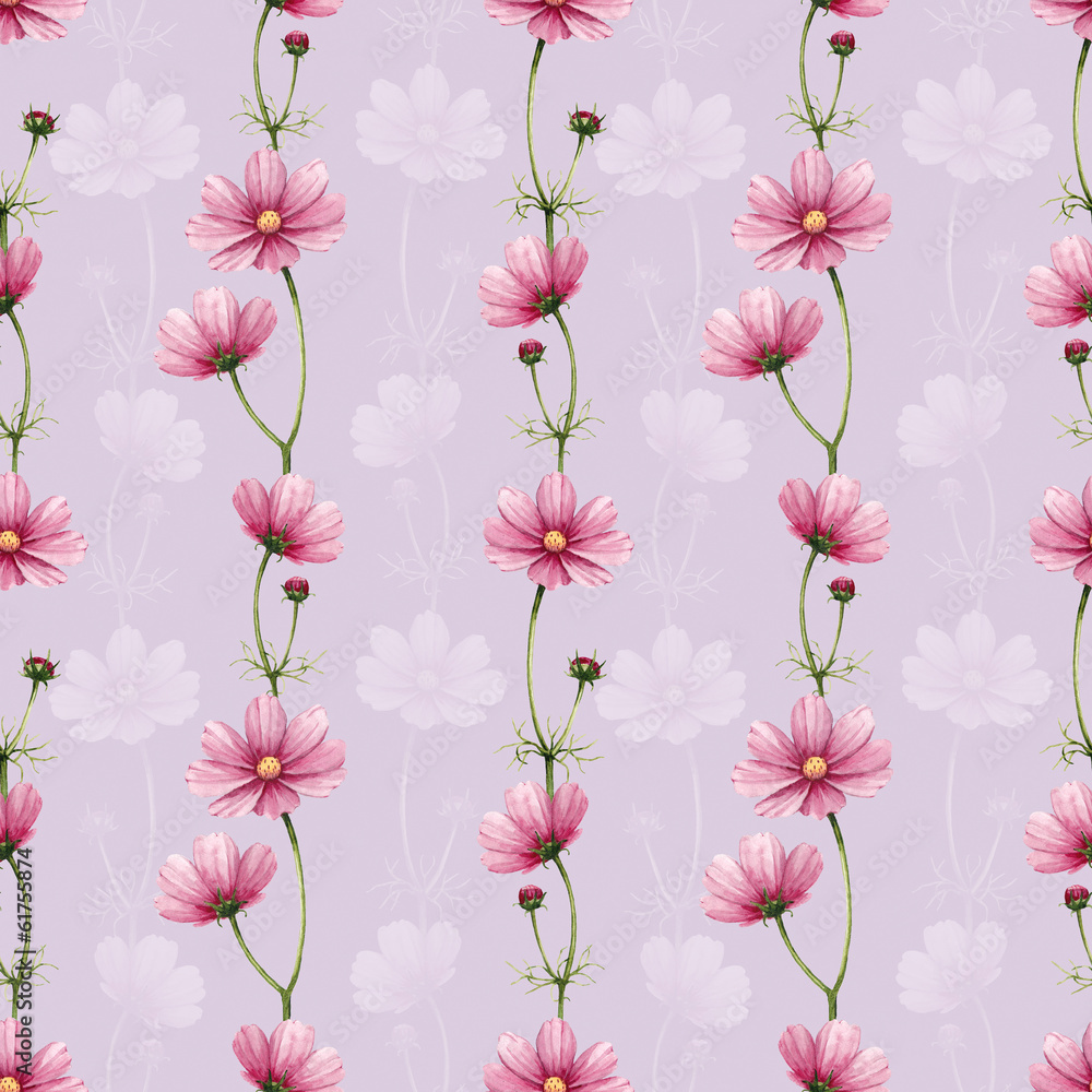 Cosmos flowers illustration. Watercolor seamless pattern