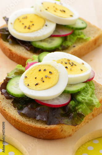 Egg slices on whole wheat bread
