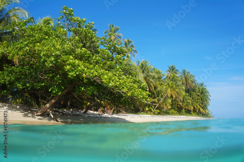 Caribbean beach and sea surface