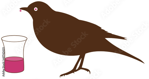 Blackbird drinking schnapps from a glass - boozehound, boozer,