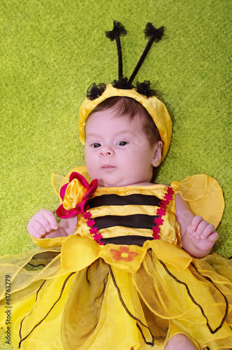 Honey Bee Baby on green background