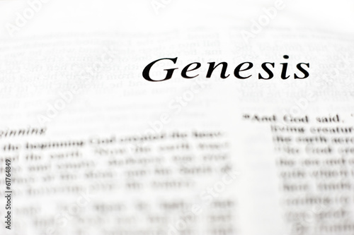 Fotografie, Obraz Book of Genesis
