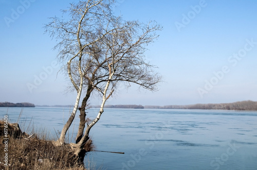 Landscape with birches on great river bank