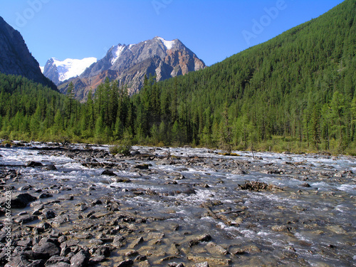 Mountain Altai. river Shavla